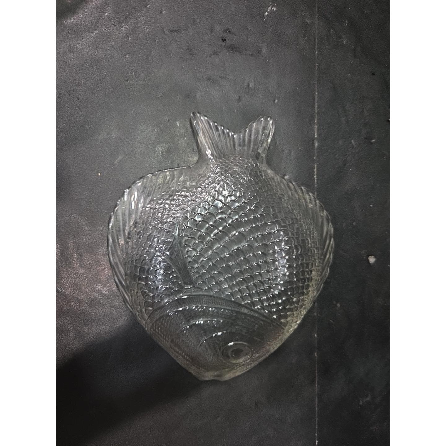 Arcoroc Clear Fish Salad Plates, Set of 2, Embossed Pressed Glass, Tableware - Thumbnail 3