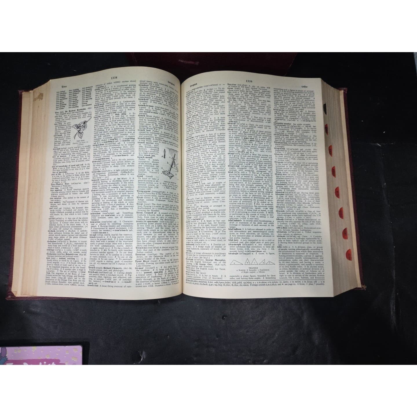 Britannica World Language Dictionary Funk & Wagnalls Standard Edition Volume Two - Thumbnail 6