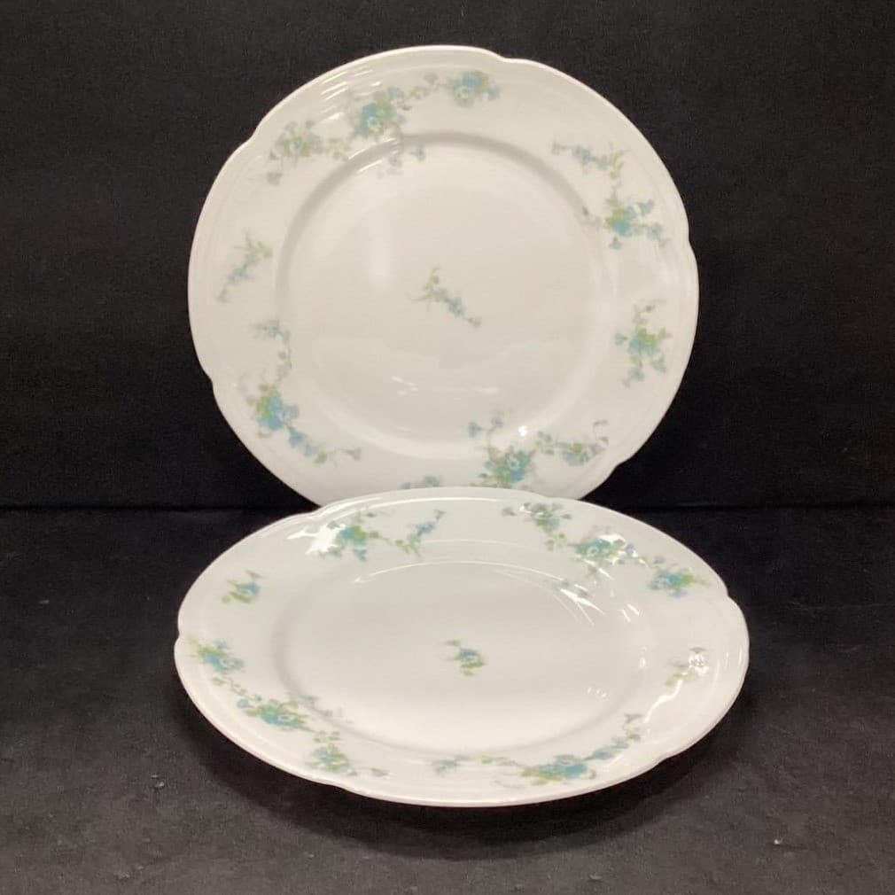Austria HUB Floral Dinner Plates, Set of 2, Vintage Hand Painted Dinnerware - Thumbnail 2