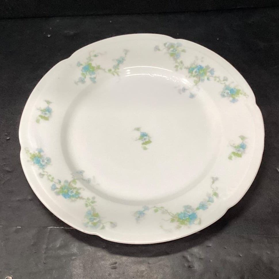 Austria HUB Floral Dinner Plates, Set of 2, Vintage Hand Painted Dinnerware - Thumbnail 3
