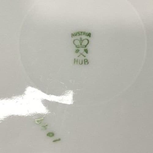 Austria HUB Floral Dinner Plates, Set of 2, Vintage Hand Painted Dinnerware - Thumbnail 5