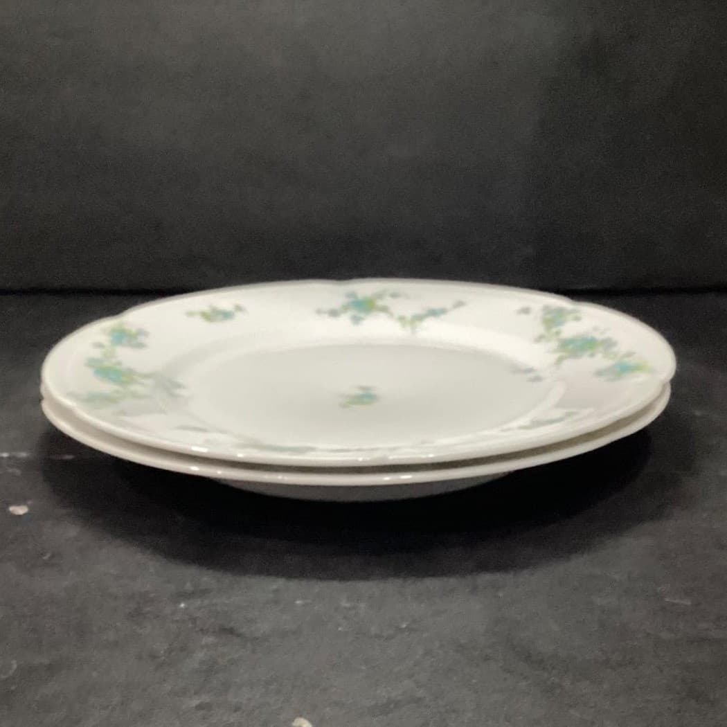 Austria HUB Floral Dinner Plates, Set of 2, Vintage Hand Painted Dinnerware - Thumbnail 6
