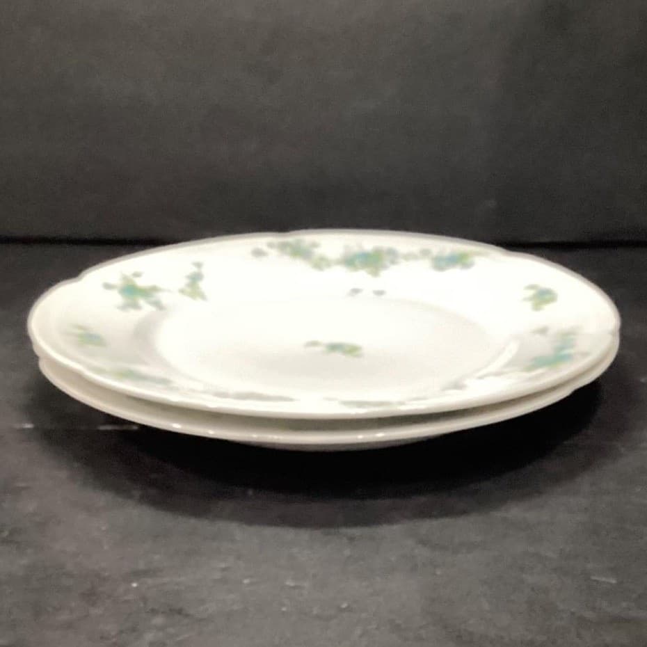 Austria HUB Floral Dinner Plates, Set of 2, Vintage Hand Painted Dinnerware - Thumbnail 7