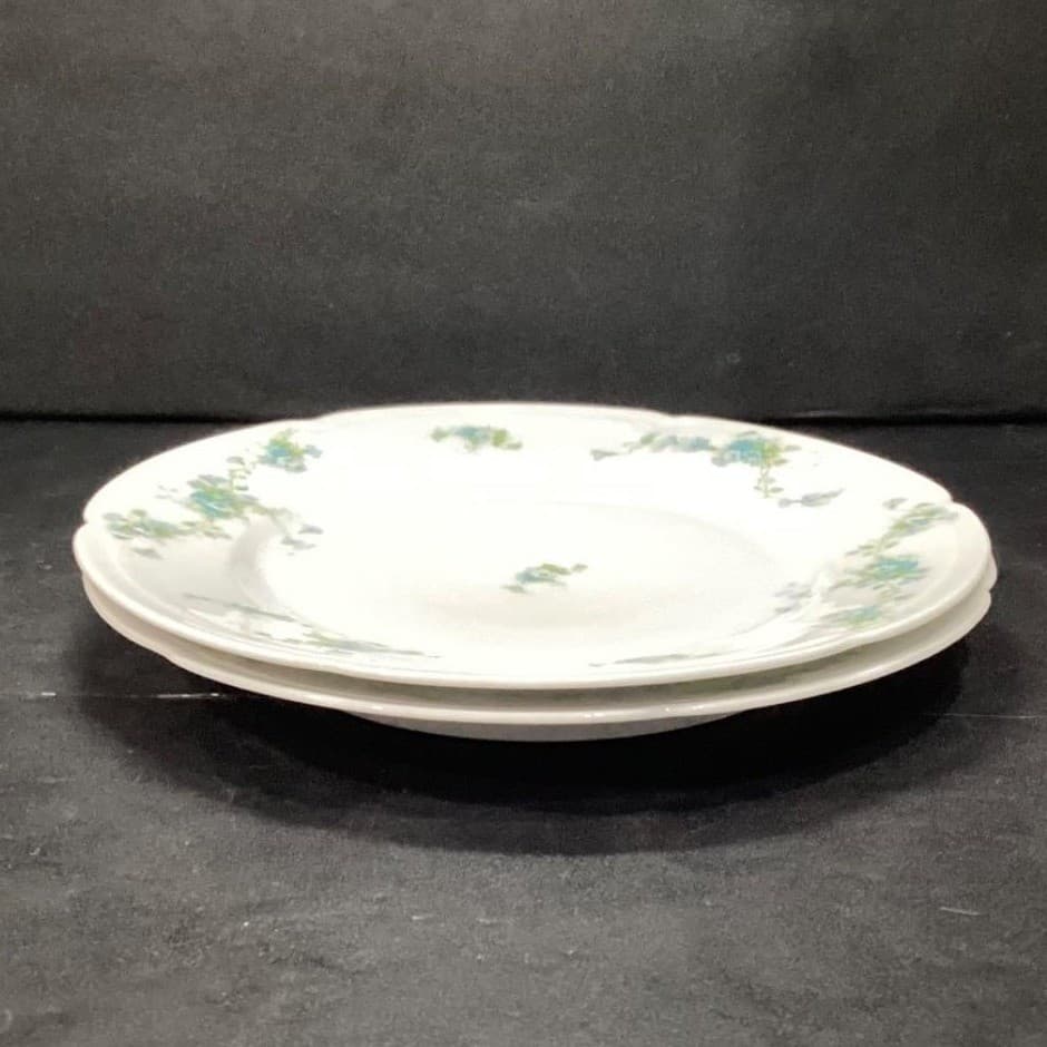 Austria HUB Floral Dinner Plates, Set of 2, Vintage Hand Painted Dinnerware - Thumbnail 8