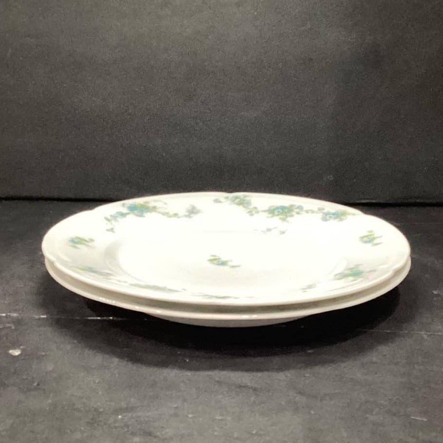 Austria HUB Floral Dinner Plates, Set of 2, Vintage Hand Painted Dinnerware - Thumbnail 9