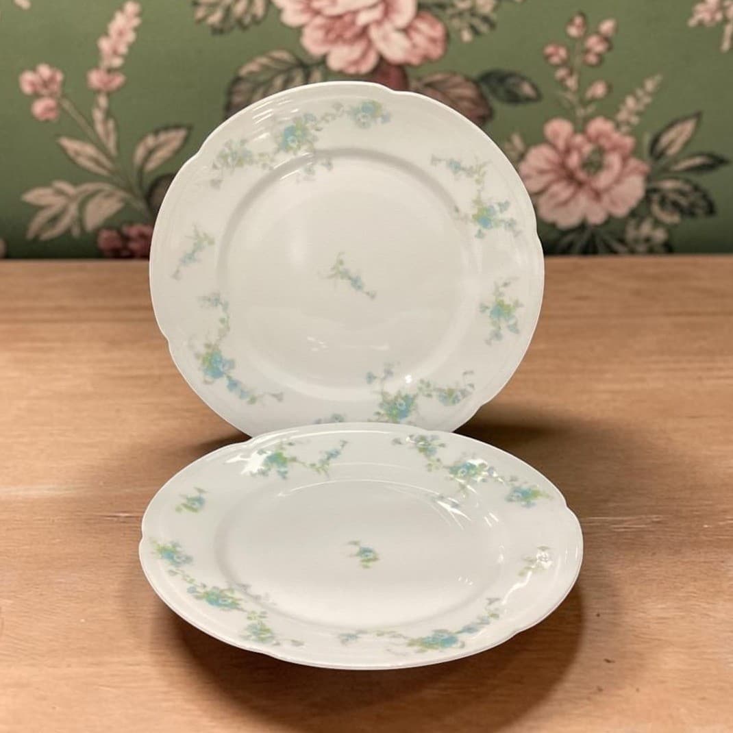 Austria HUB Floral Dinner Plates, Set of 2, Vintage Hand Painted Dinnerware