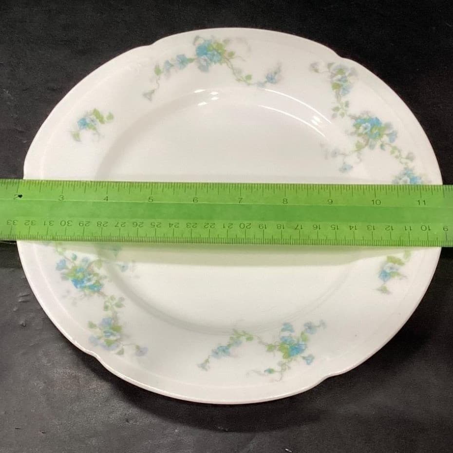 Austria HUB Floral Dinner Plates, Set of 2, Vintage Hand Painted Dinnerware - Thumbnail 10