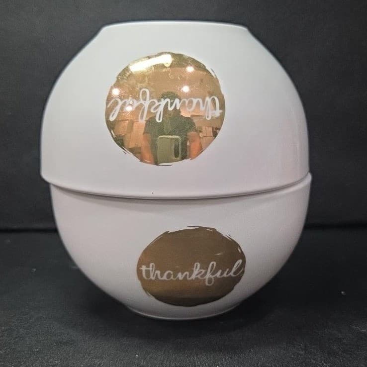 Coventry Designer's Choice "Thankful" Bowls, Set of 2 Vintage Inspired Tableware - Thumbnail 2