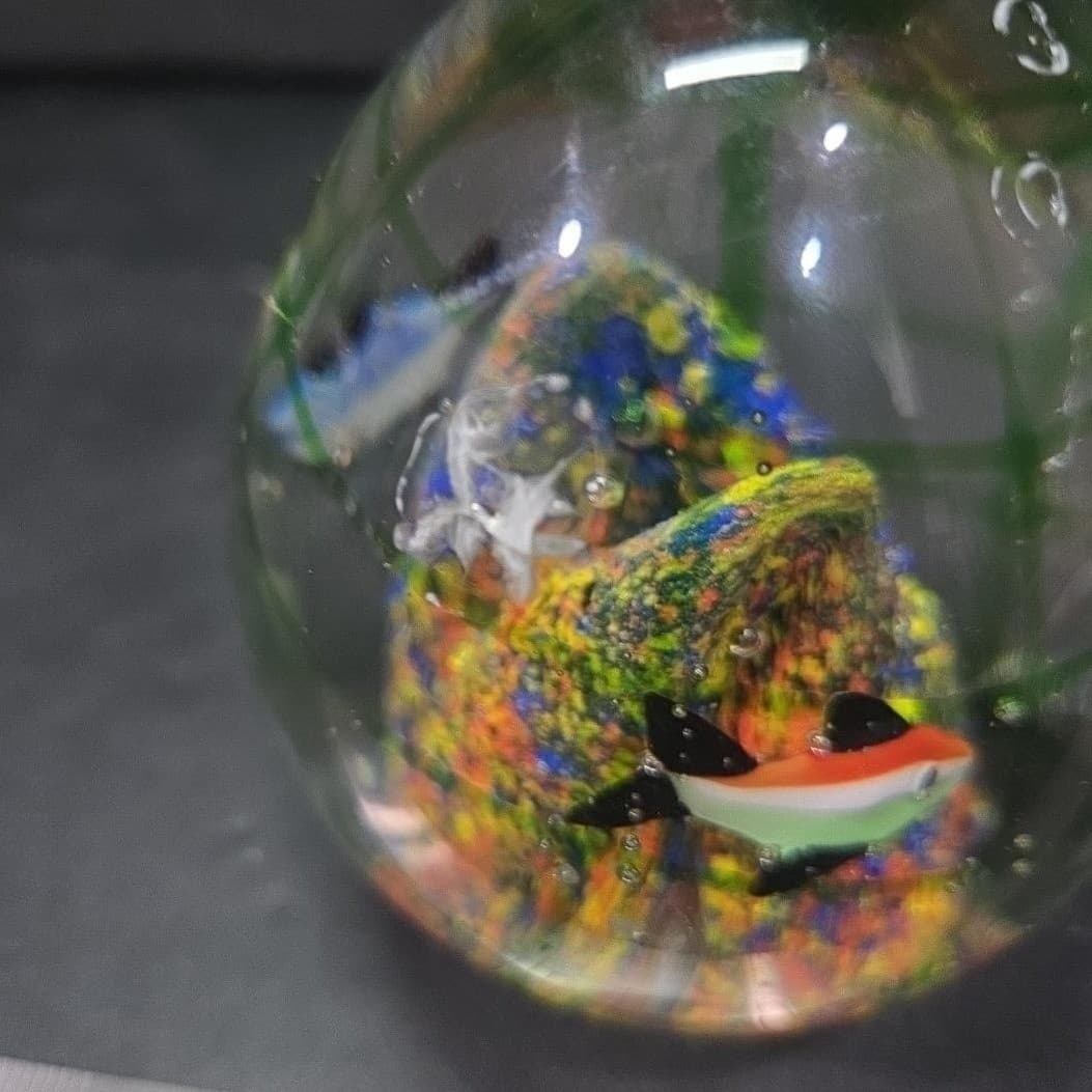 Nautical Oval Heavy Glass Paperweight, Fish And Coral Design, Controlled Bubbles - Thumbnail 10