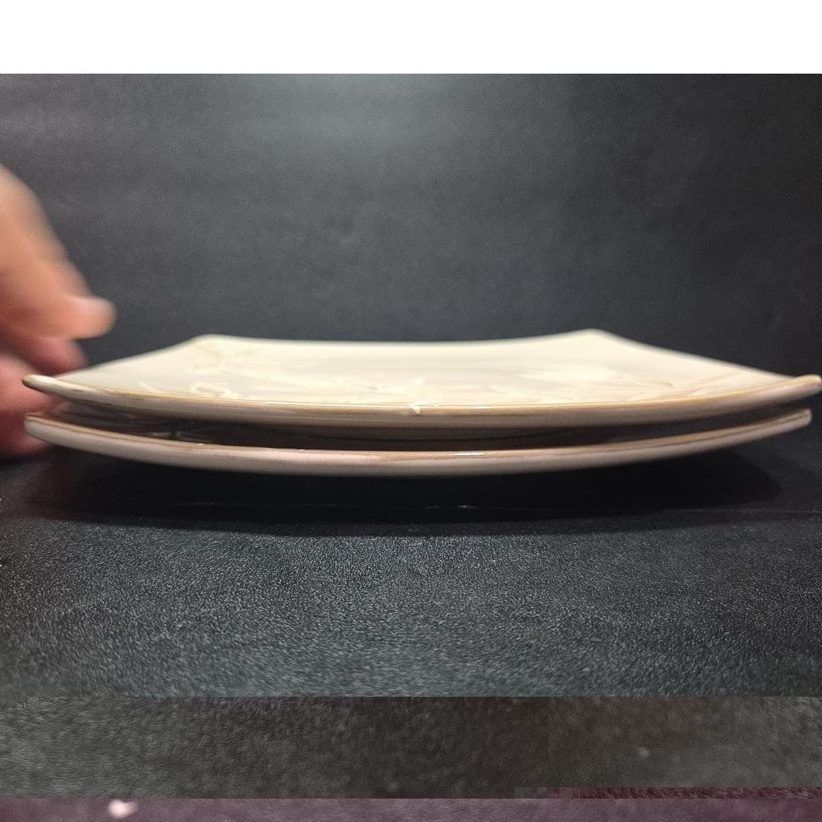Florida Marketplace Bamboo Design Dinner Plate, Set of 2, Vintage Stoneware - Thumbnail 6