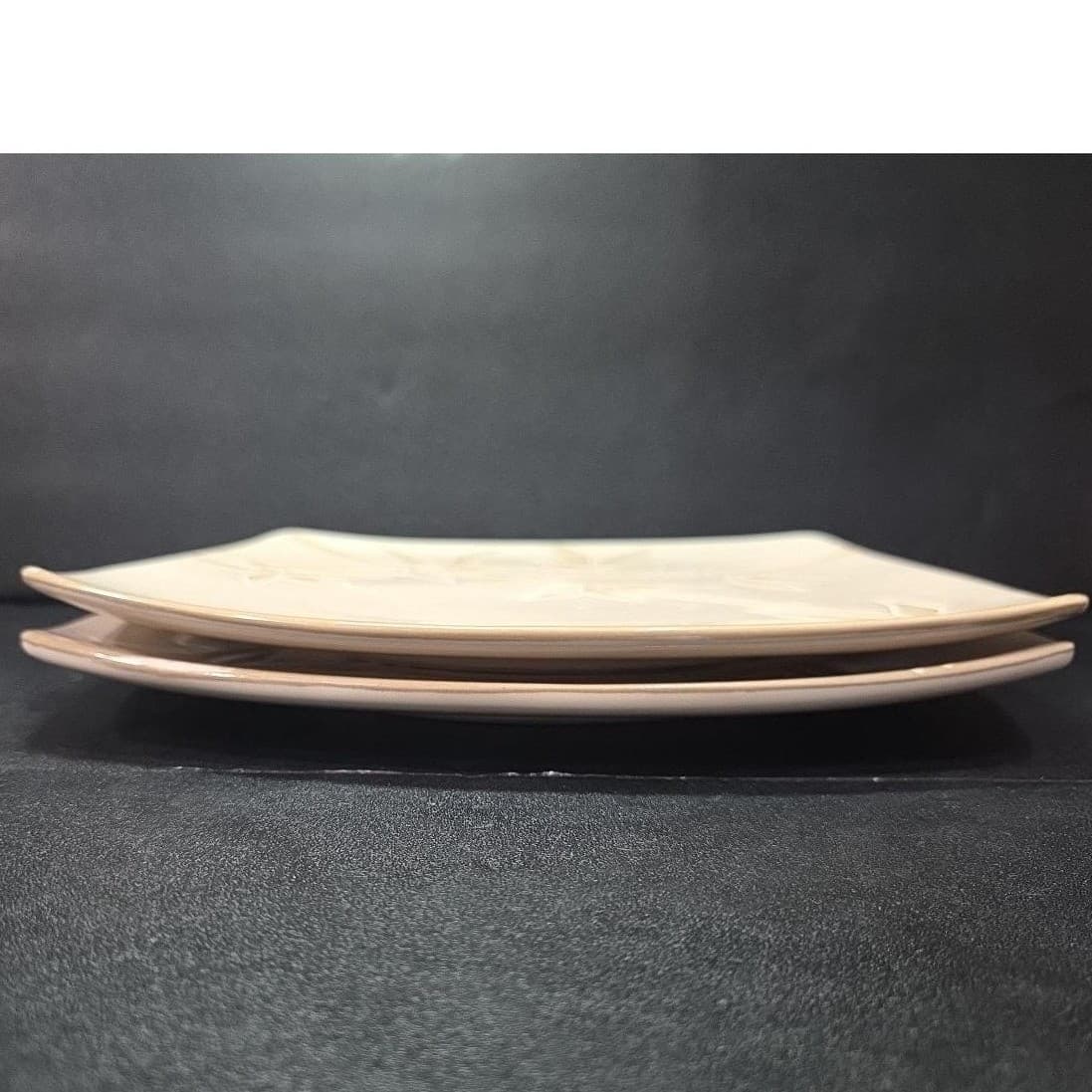 Florida Marketplace Bamboo Design Dinner Plate, Set of 2, Vintage Stoneware - Thumbnail 8