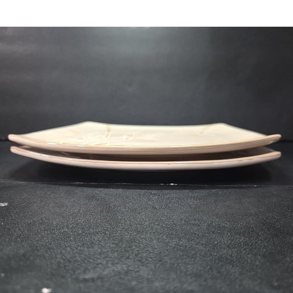 Florida Marketplace Bamboo Design Dinner Plate, Set of 2, Vintage Stoneware - Thumbnail 9