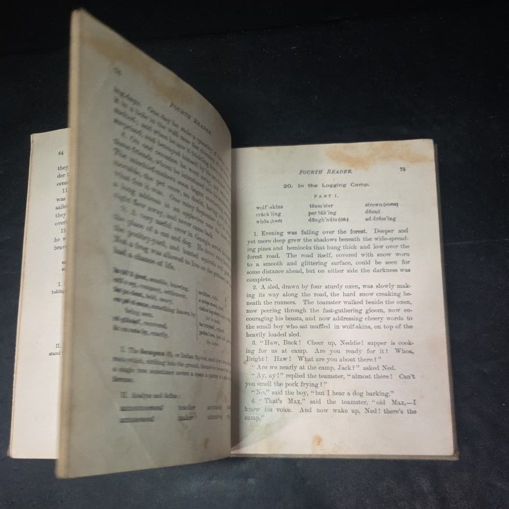 Holmes Fourth Reader Antique Hardcover, American Book Company New Edition 1904 - Thumbnail 5