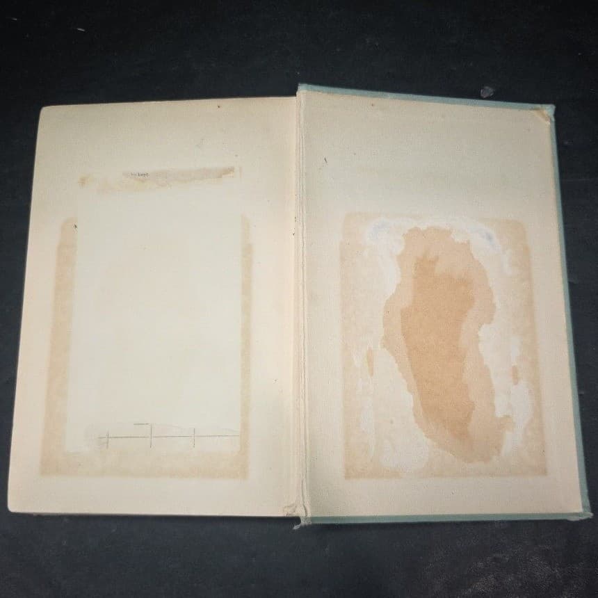 Susan Clegg and Her Love Affairs Anne Warner 1916 Antique Hardcover Illustrated - Thumbnail 7
