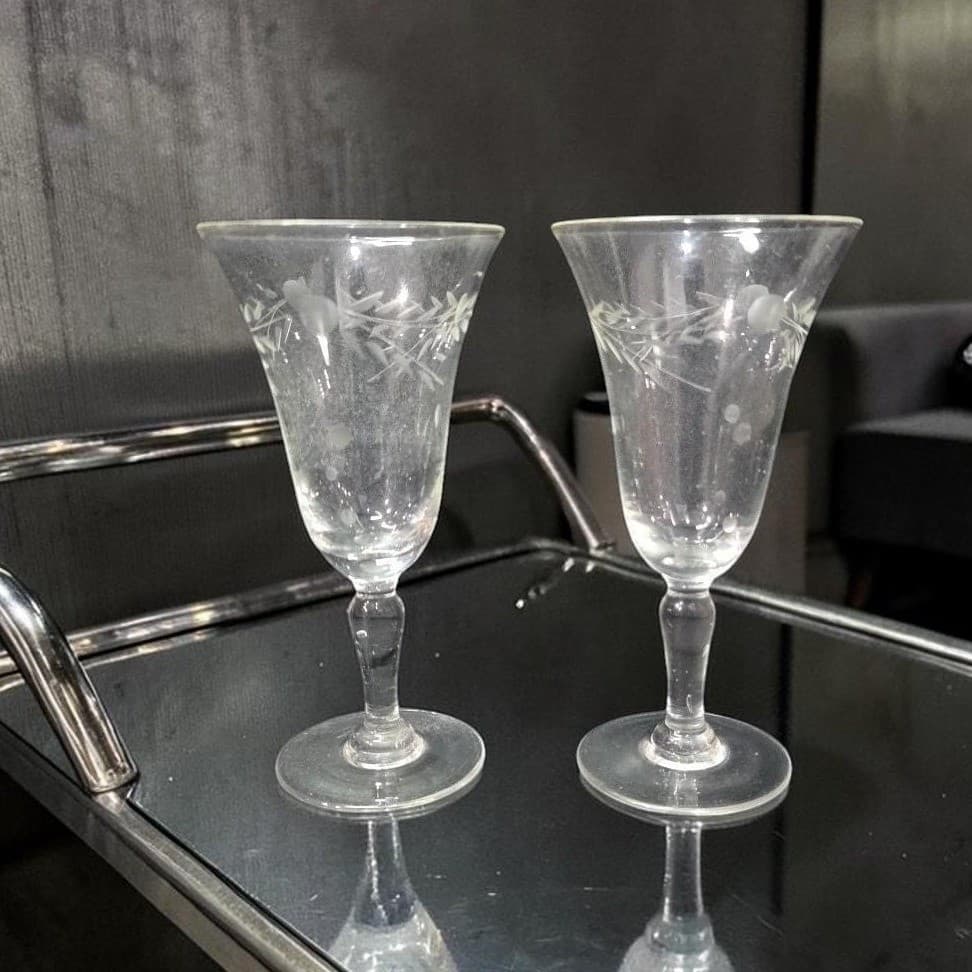 Willow Moon Floral Etched Cordial Glasses, Set of 2 Replacement Crystal Stemware
