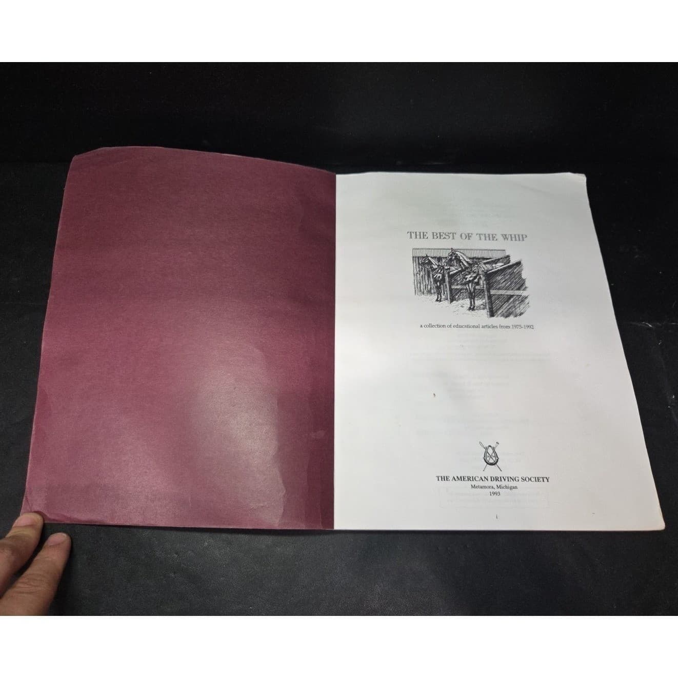 The Best of The Whip American Driving Society Horse Carriage Articles 1975-1992 - Thumbnail 3