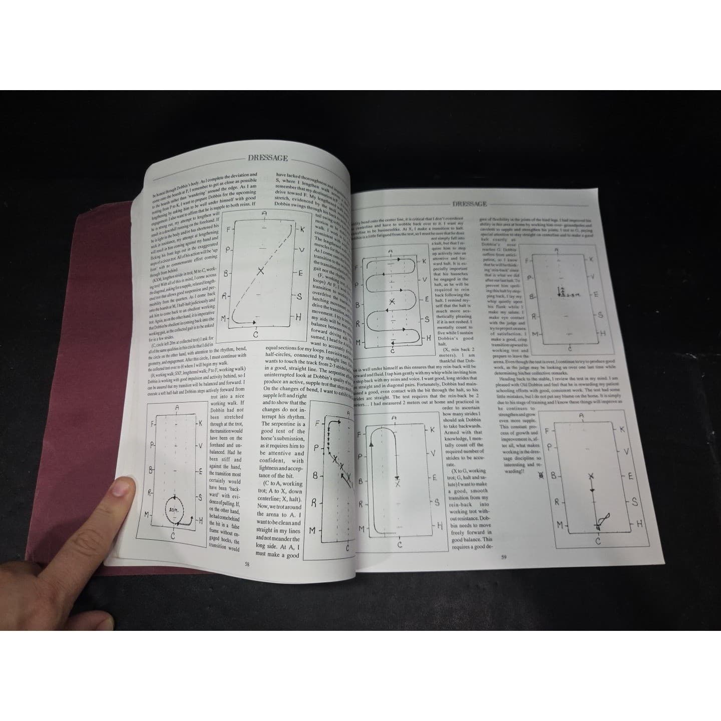 The Best of The Whip American Driving Society Horse Carriage Articles 1975-1992 - Thumbnail 5