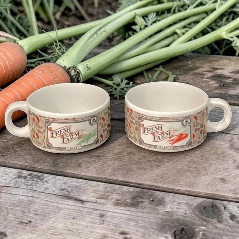 Houston Foods Fresh From the Farm Soup Cups, Set of 2, Vintage Vegetable Design