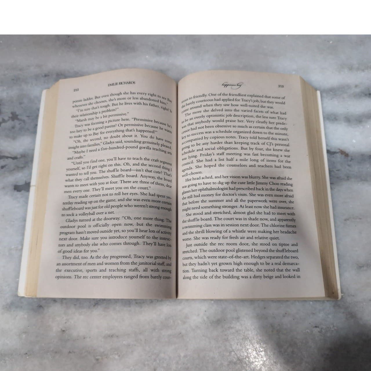 Emilie Richards Paperback Book Lot, Happiness Key & Beware False Profits, Novels - Thumbnail 10