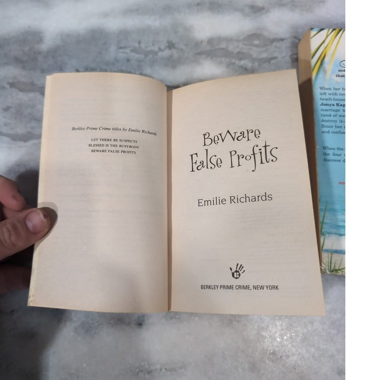 Emilie Richards Paperback Book Lot, Happiness Key & Beware False Profits, Novels - Thumbnail 6