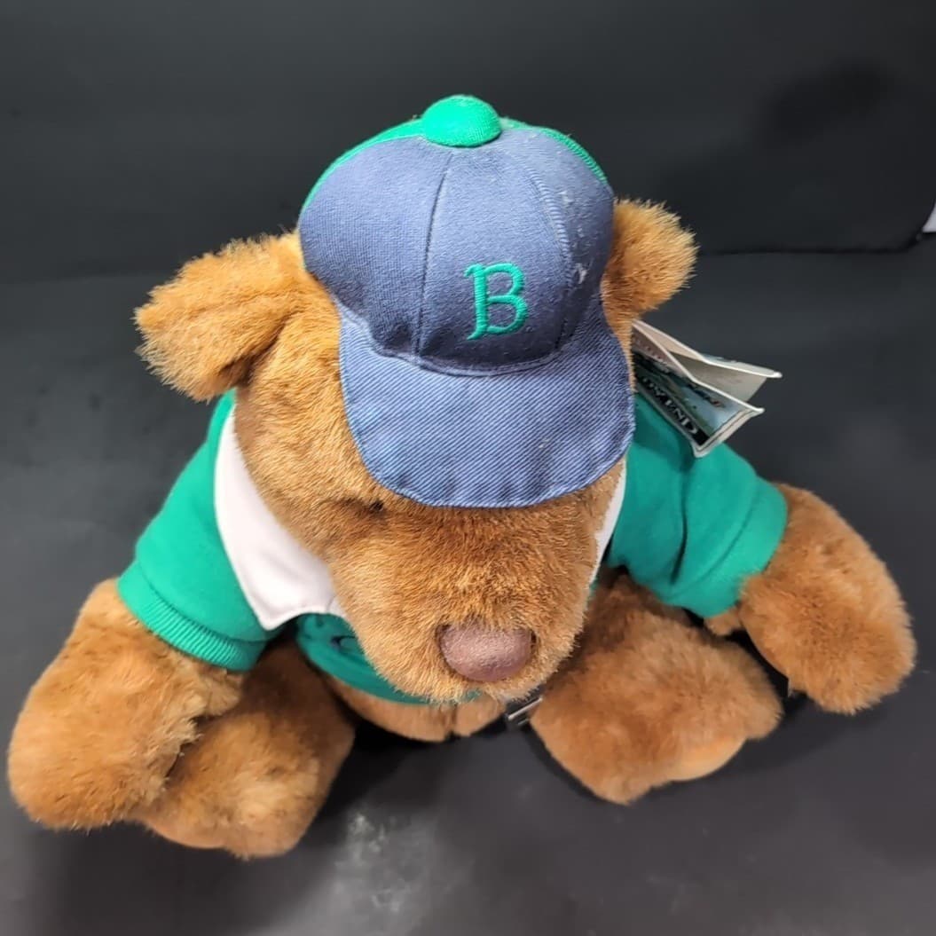 Lands End Gund Coach Paul Bear Rugby Plush, Whistle Hat Green, Vintage 1991 Toy - Thumbnail 9