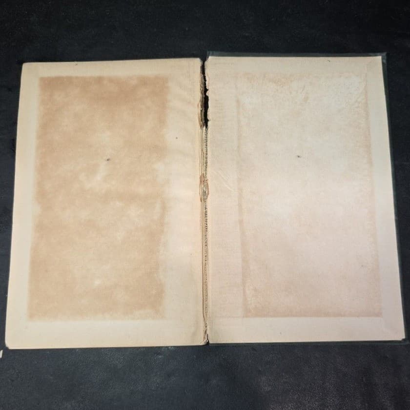 The School of Abuse Stephen Gosson 1895 Arber's English Reprint Green Cloth Book - Thumbnail 6