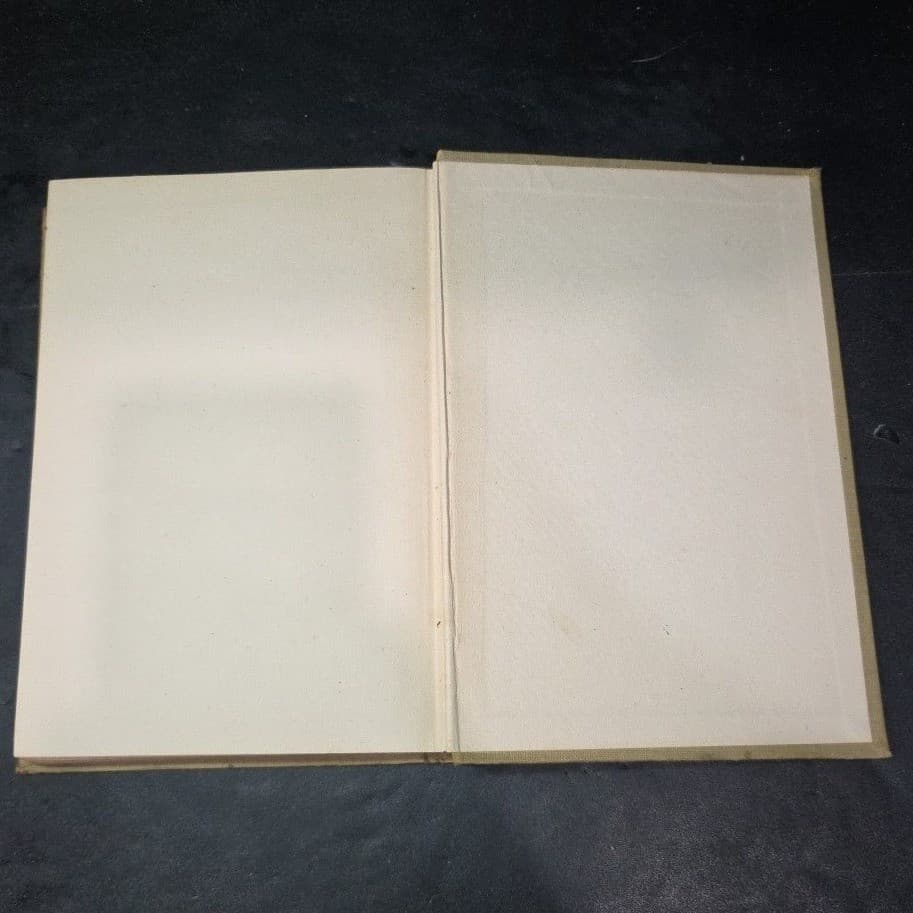 A Story of the Plains Eva Bailey Short Herald Publishing House Illustrated 1921 - Thumbnail 8