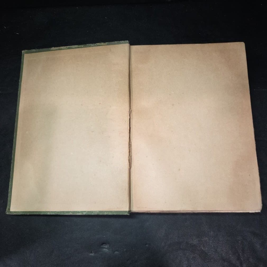 Tales From the Arabic John Payne 1901 Delhi Edition Vol III Limited 526/1000 - Thumbnail 3