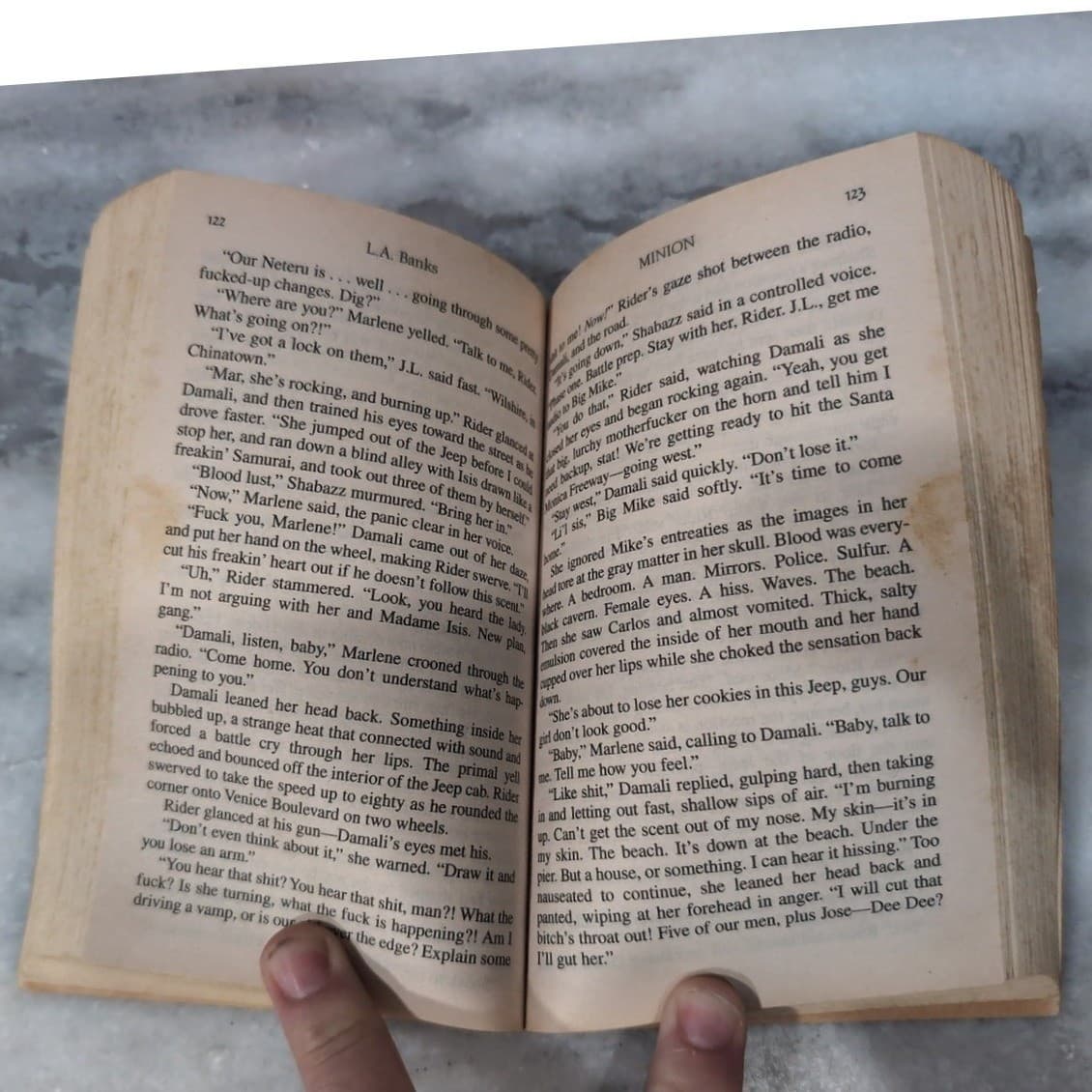 L.A. Banks Vampire Huntress Legend Minion & The Awakening Paperback Book Bundle - Thumbnail 9