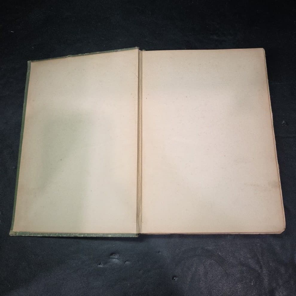 1901 The Book of the Thousand Nights and One Night Vol IX John Payne Delhi Ed - Thumbnail 3