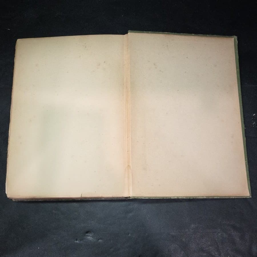 1901 The Book of the Thousand Nights and One Night Vol IX John Payne Delhi Ed - Thumbnail 8