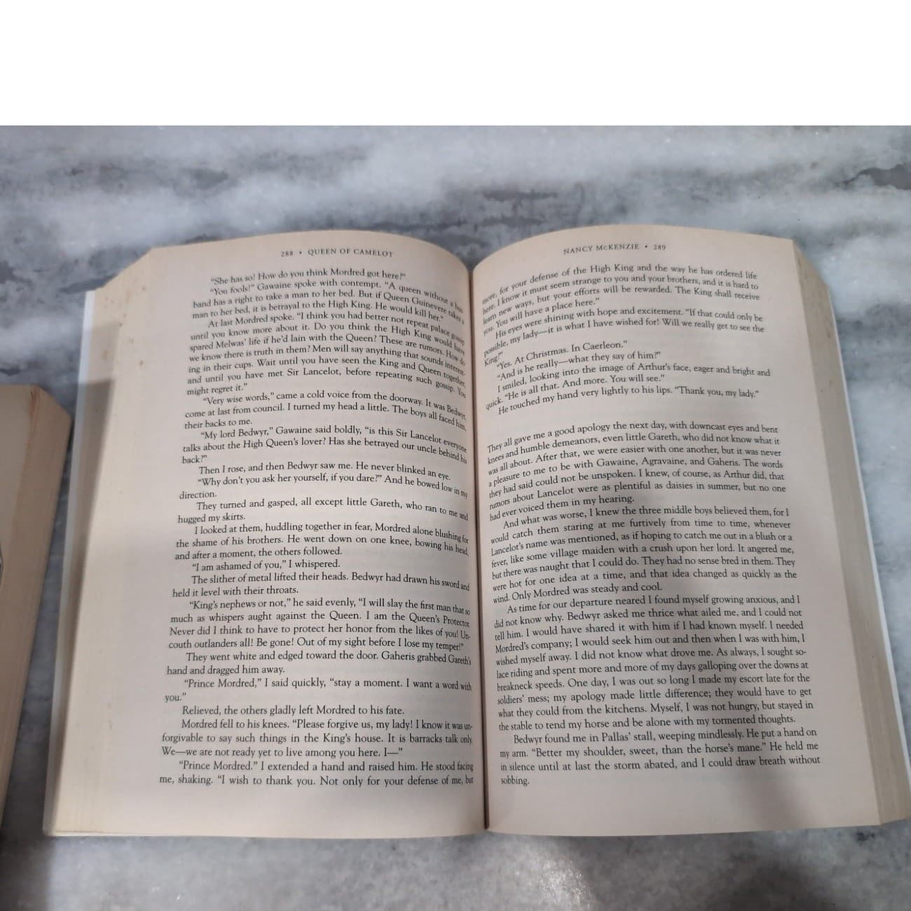 Nancy McKenzie Arthurian Series: Queen of Camelot & Prince of Dreams, 2 Book Set - Thumbnail 7