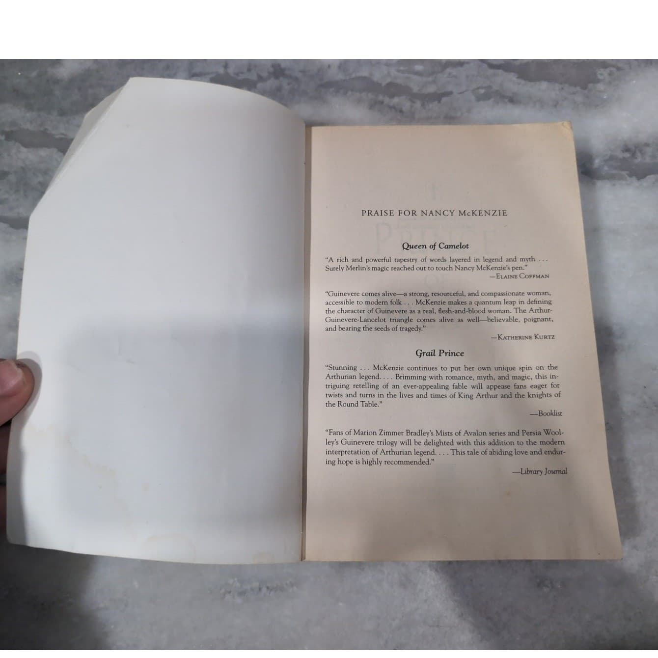 Nancy McKenzie Arthurian Series: Queen of Camelot & Prince of Dreams, 2 Book Set - Thumbnail 8
