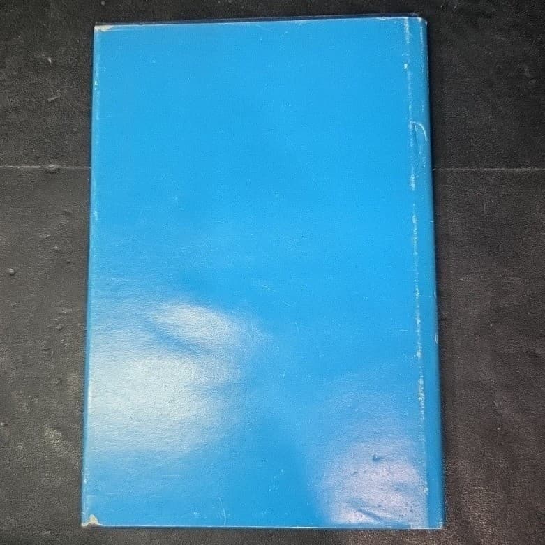 If I Could Ask You Anything Ronald Blane Holland 1983 First Edition Hardcover - Thumbnail 8