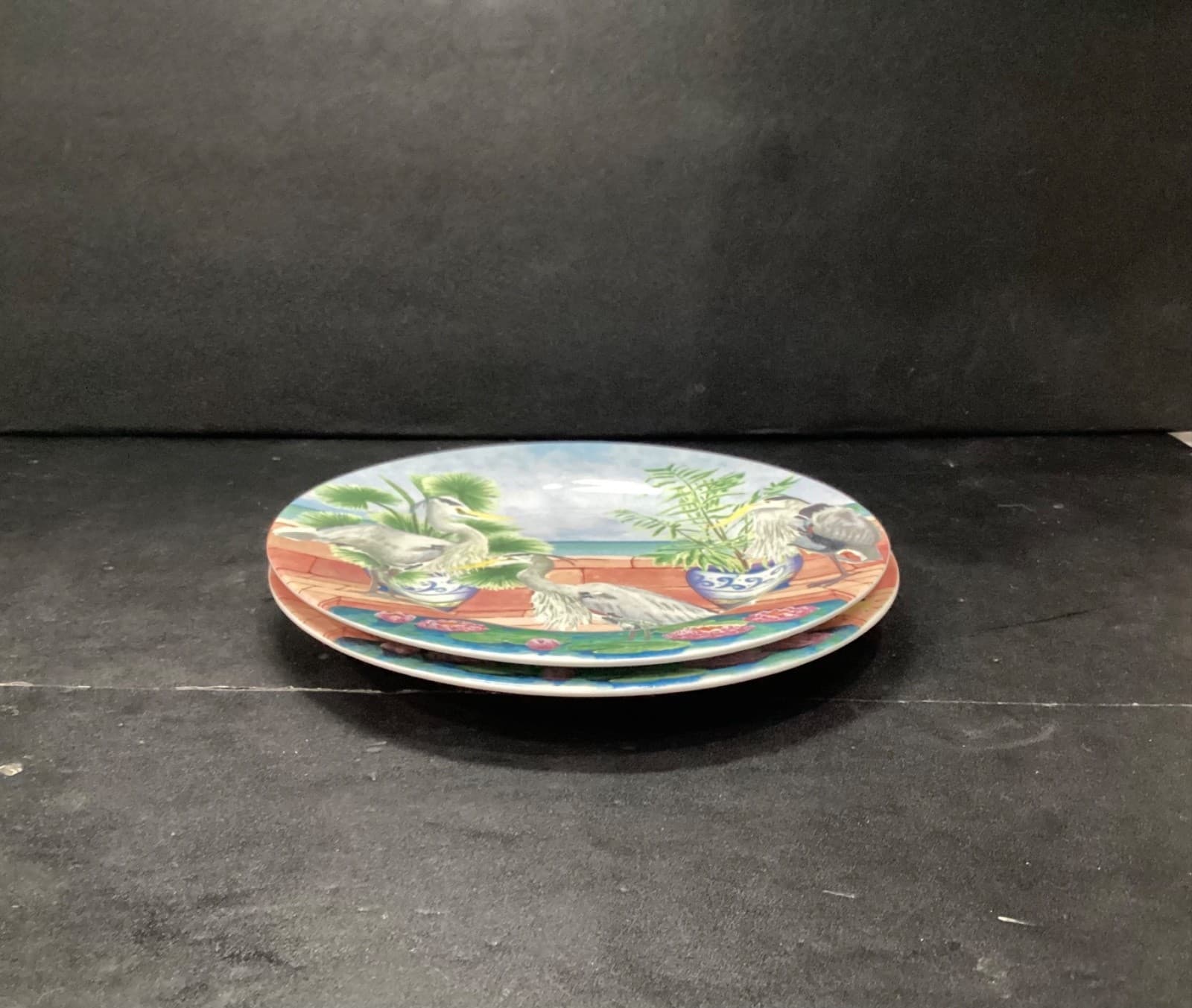 American Atelier "Marsh Birds" Porcelain China Salad Plates #5245 P16 Set Of 2 - Thumbnail 6