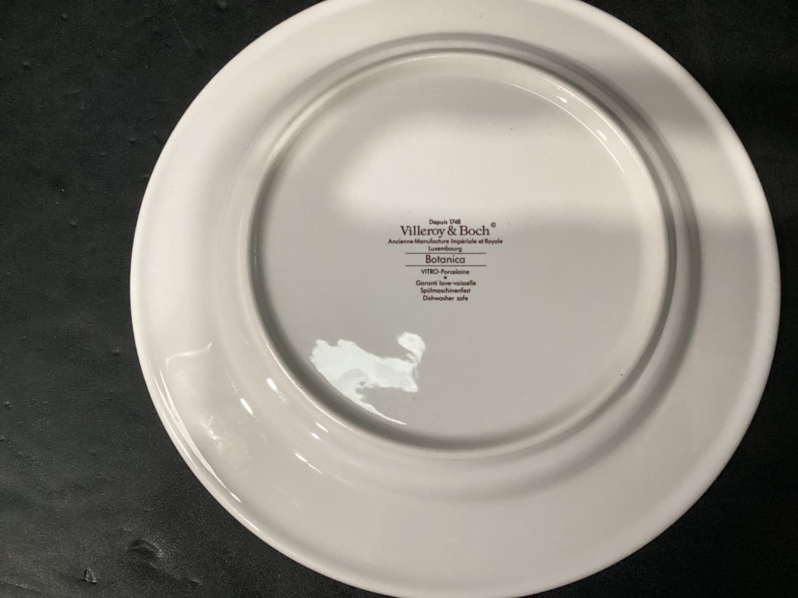Villeroy Boch Botanica Salad Plates Thymus Pulegioides With Roots 8.25" Set of 4 - Thumbnail 4