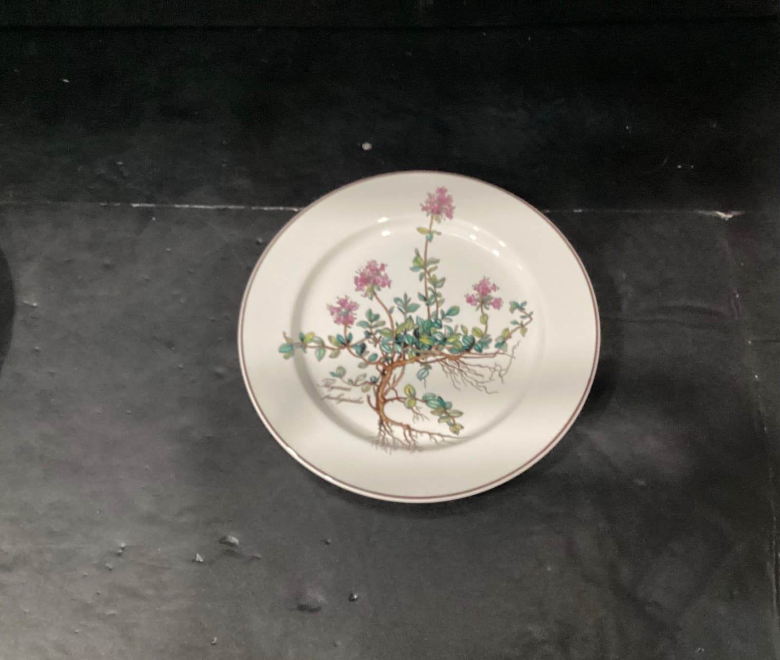 Villeroy Boch Botanica Salad Plates Thymus Pulegioides With Roots 8.25" Set of 4 - Thumbnail 2