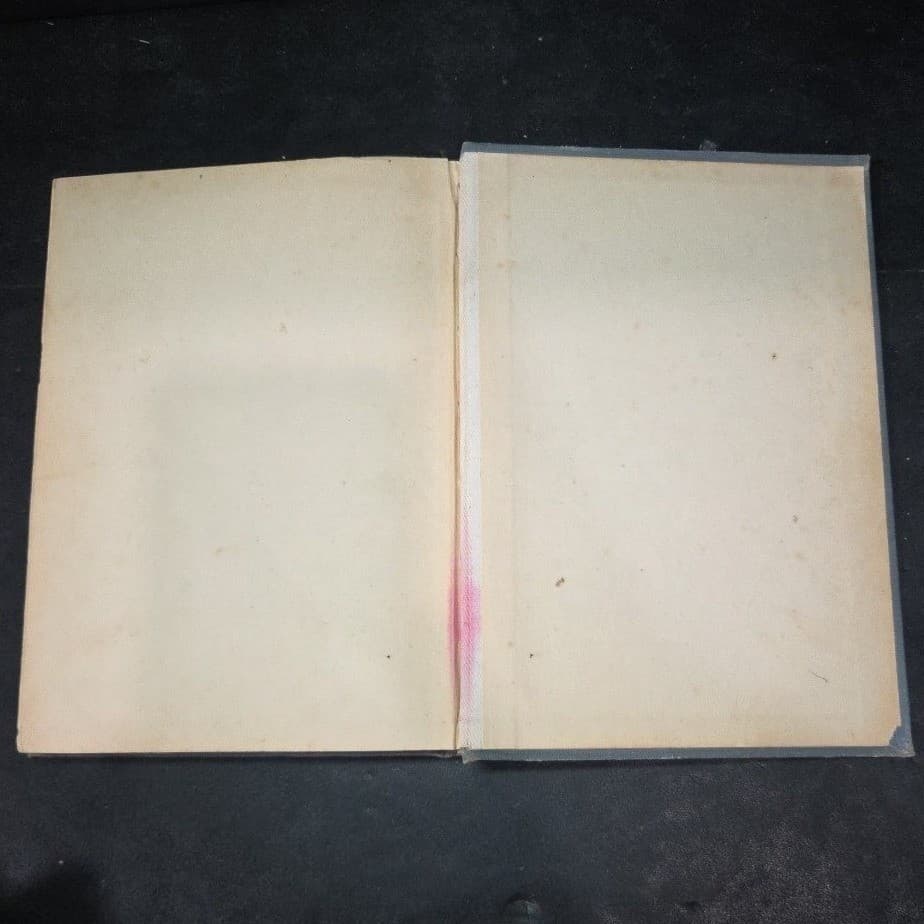 Runaway Home Alice and Jerry Books Elizabeth Coatsworth Gustaf Tenggren 1949 - Thumbnail 7