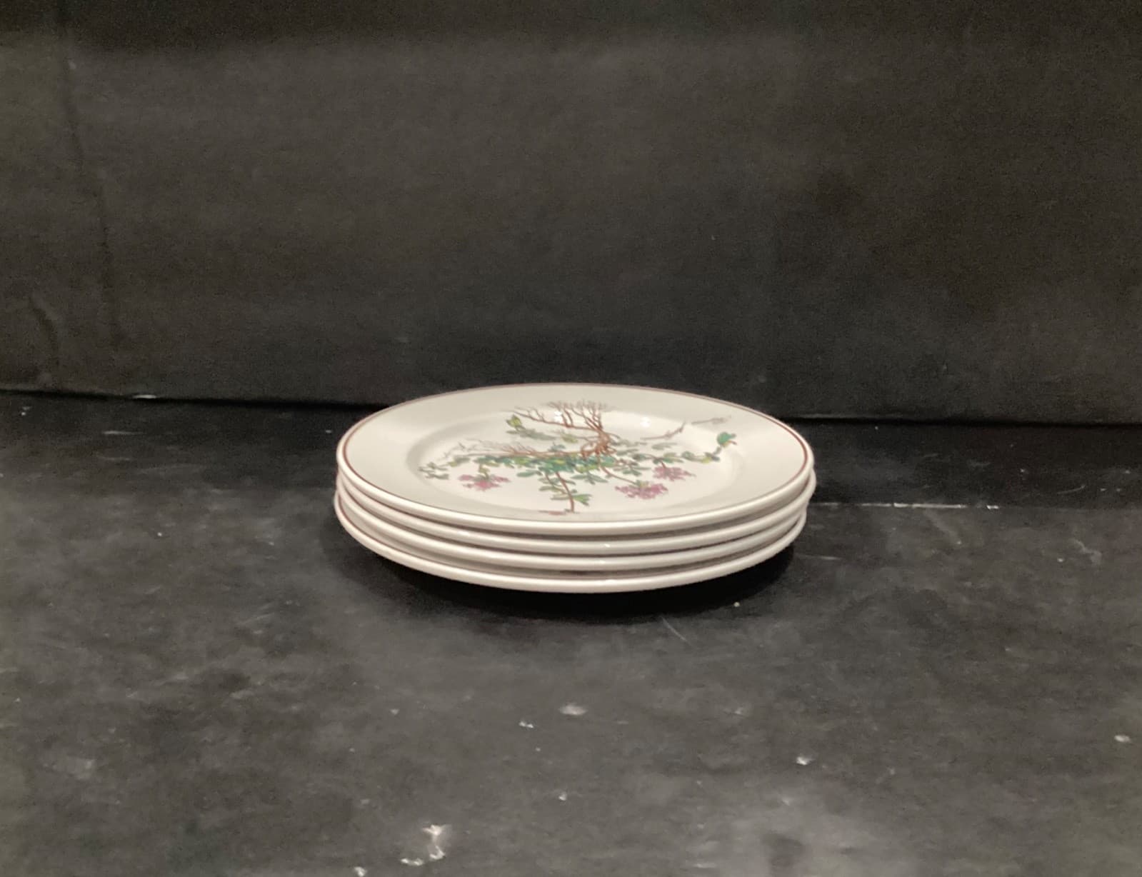 Villeroy Boch Botanica Salad Plates Thymus Pulegioides With Roots 8.25" Set of 4 - Thumbnail 8