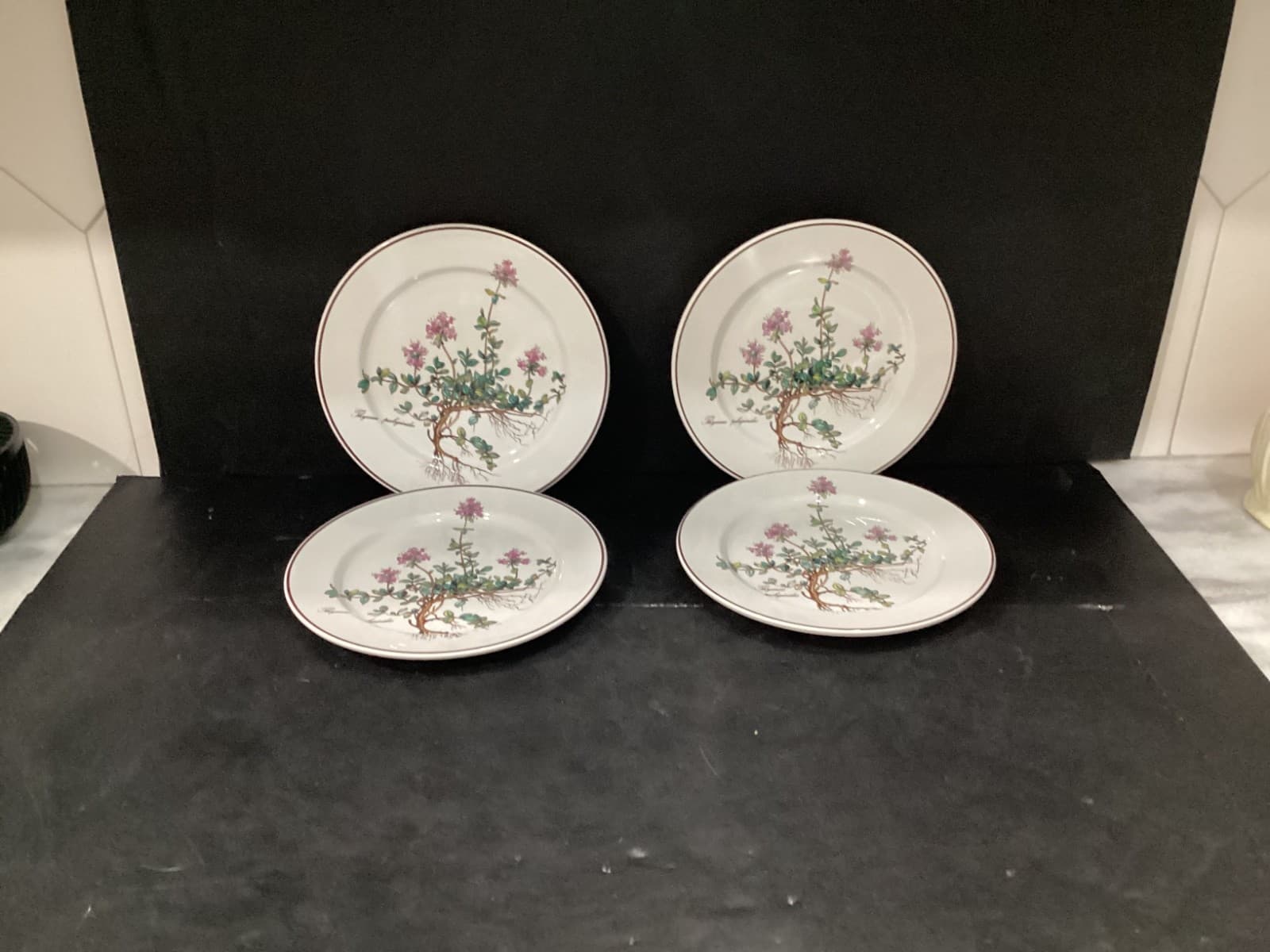 Villeroy Boch Botanica Salad Plates Thymus Pulegioides With Roots 8.25" Set of 4