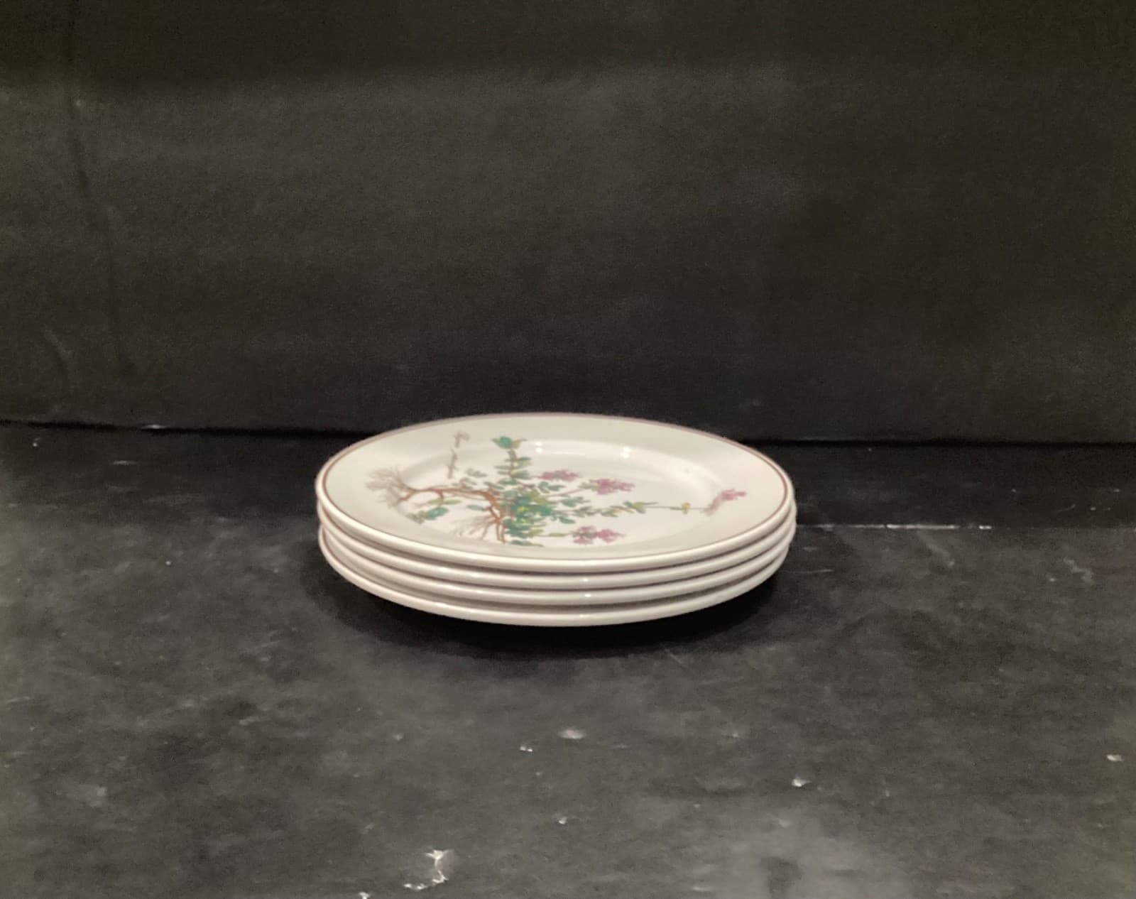 Villeroy Boch Botanica Salad Plates Thymus Pulegioides With Roots 8.25" Set of 4 - Thumbnail 9