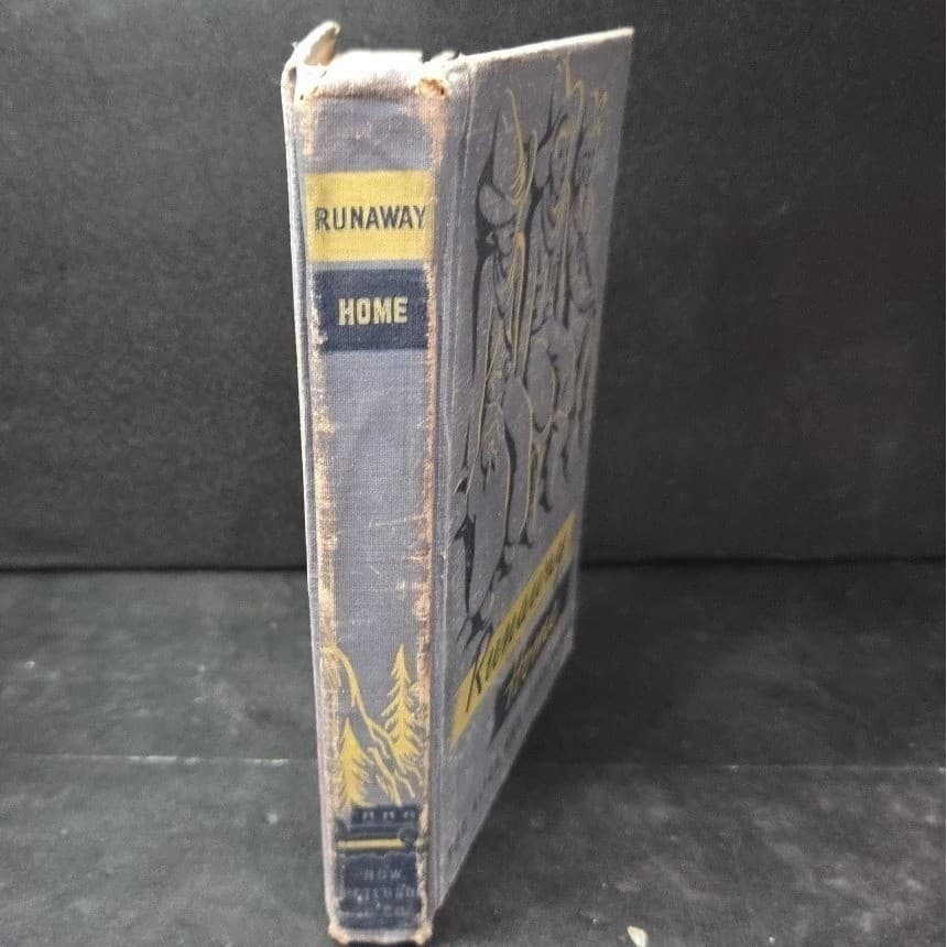 Runaway Home Alice and Jerry Books Elizabeth Coatsworth Gustaf Tenggren 1949 - Thumbnail 9