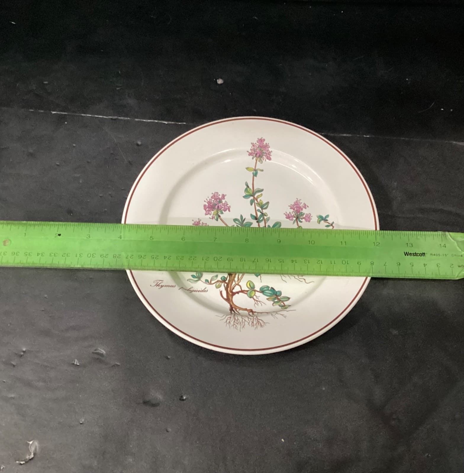Villeroy Boch Botanica Salad Plates Thymus Pulegioides With Roots 8.25" Set of 4 - Thumbnail 5