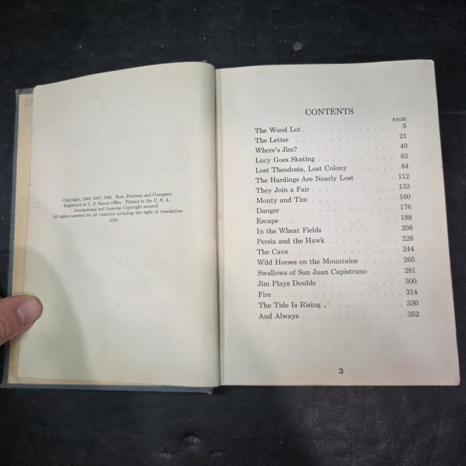 Runaway Home Alice and Jerry Books Elizabeth Coatsworth Gustaf Tenggren 1949 - Thumbnail 5