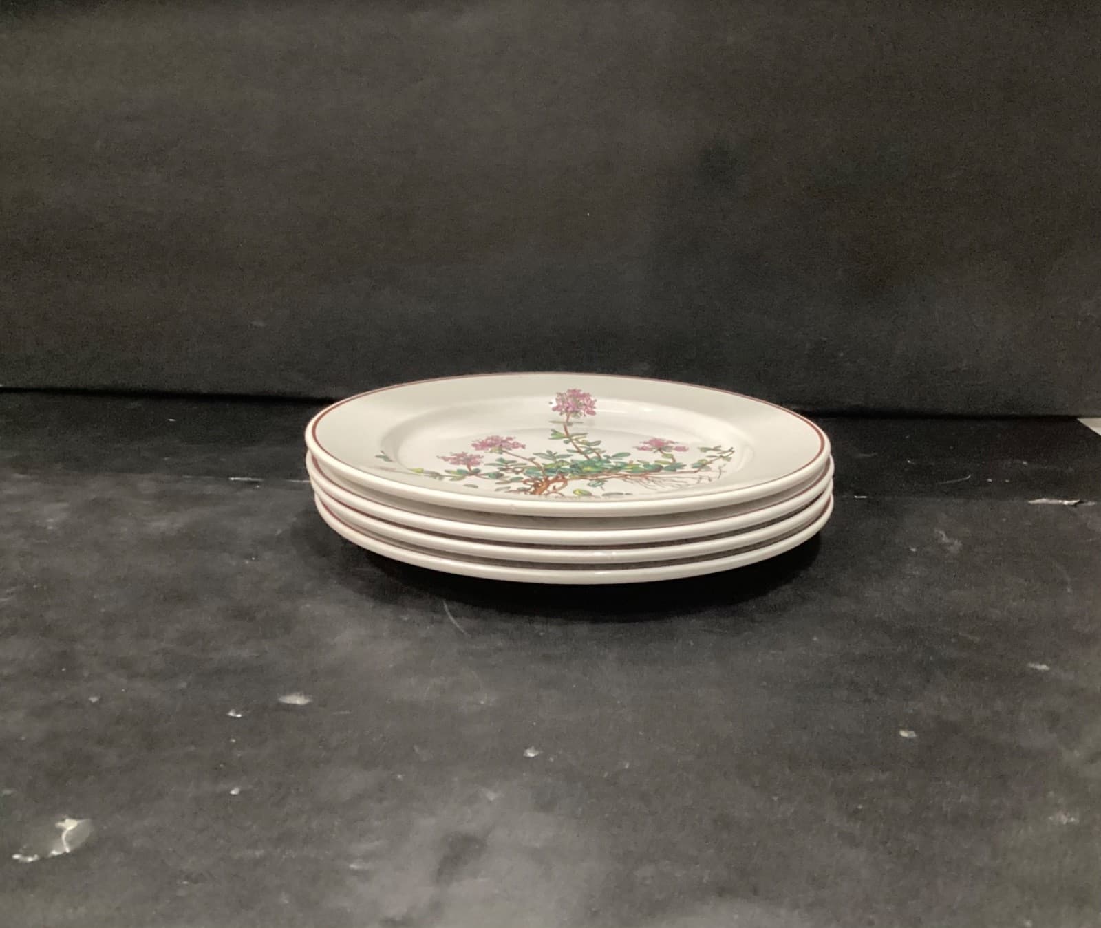 Villeroy Boch Botanica Salad Plates Thymus Pulegioides With Roots 8.25" Set of 4 - Thumbnail 6