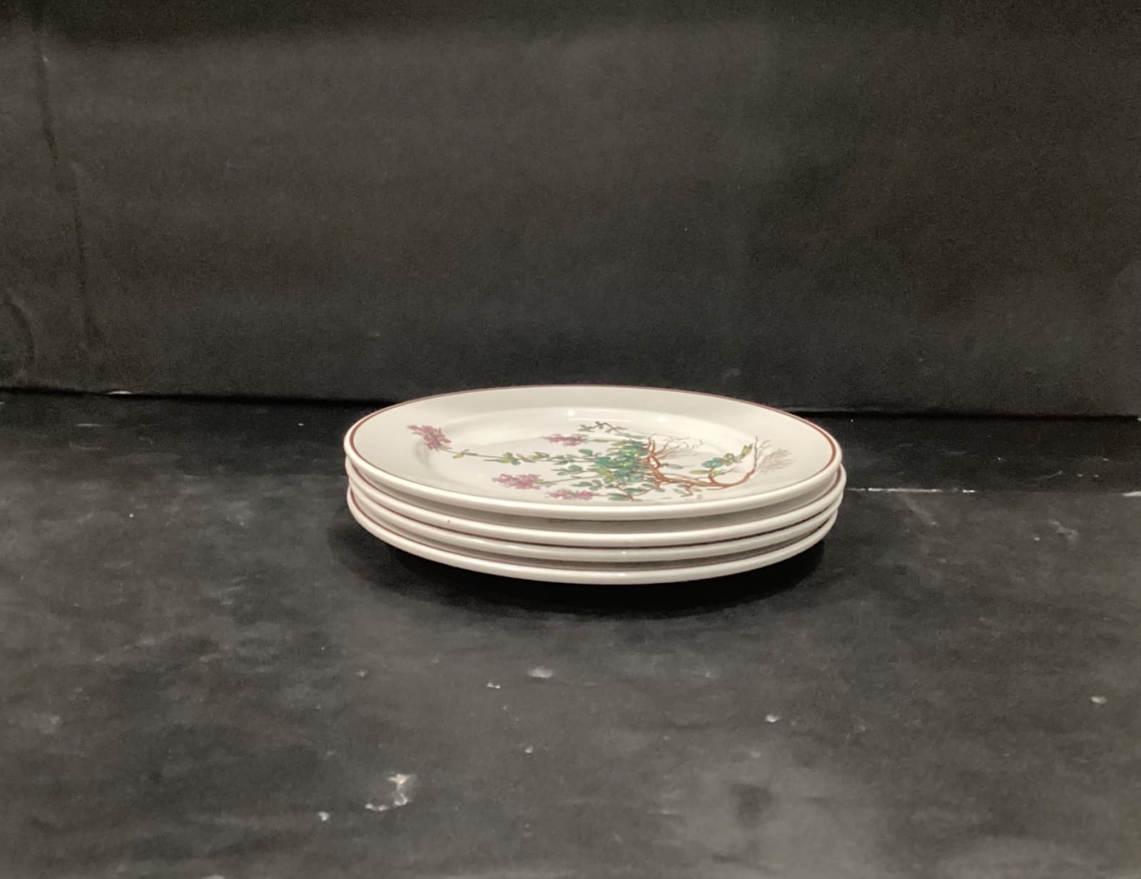 Villeroy Boch Botanica Salad Plates Thymus Pulegioides With Roots 8.25" Set of 4 - Thumbnail 7