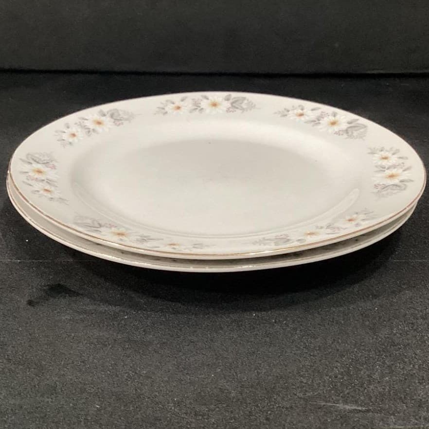 Snowflower by China Salad Plates, Set of 2, Vintage Multicolor Floral Porcelain - Thumbnail 9