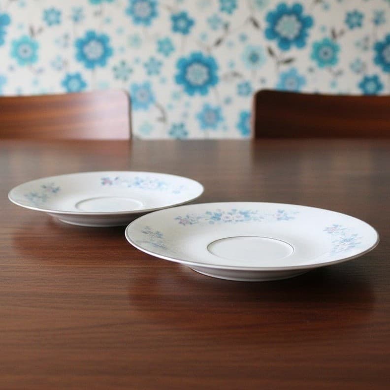 Carlton Fine China "Carla" Saucers #506, Set of 2, Vintage Floral Porcelain