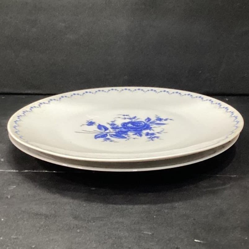 Alboth & Kaiser Bavaria Blue Flower Dinner Plates, Set of 2, Vintage Dinnerware - Thumbnail 9