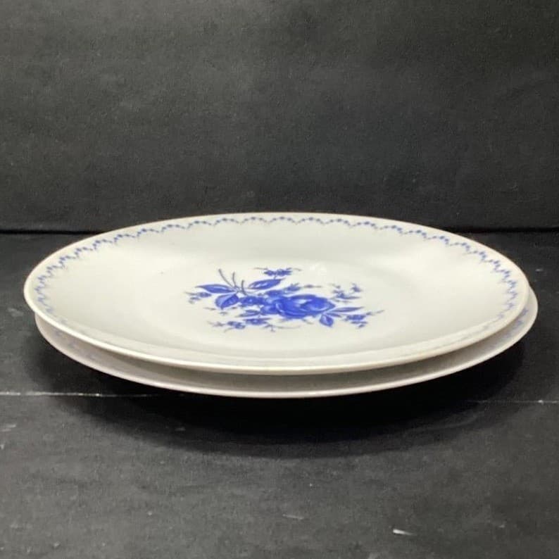Alboth & Kaiser Bavaria Blue Flower Dinner Plates, Set of 2, Vintage Dinnerware - Thumbnail 8